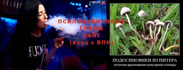бутират Богородицк