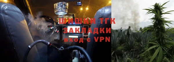 мдпв Богородск