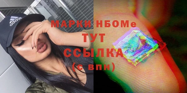мдпв Богородск