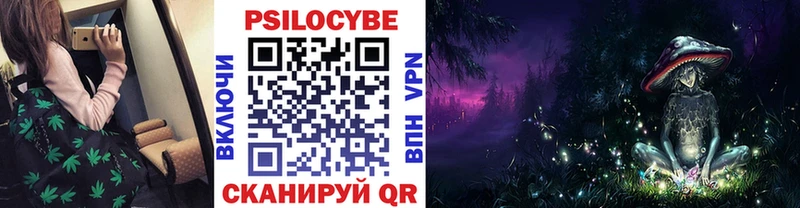 что такое   Краснознаменск  гидра ссылка  Галлюциногенные грибы Psilocybine cubensis 